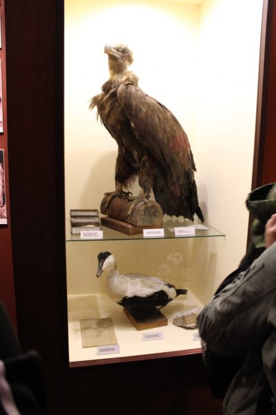 Wycieczka Zakopane - Słowacja gim.